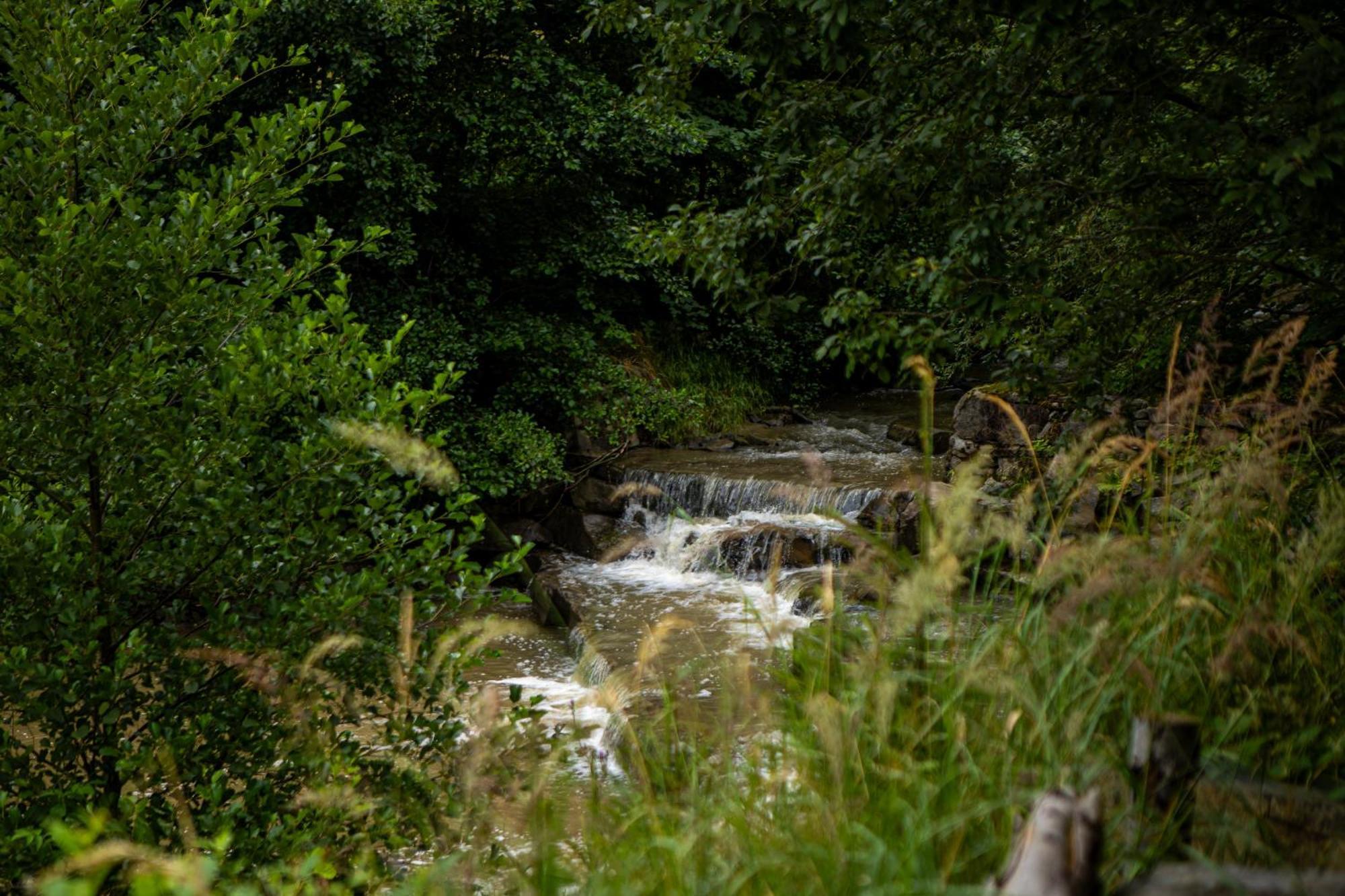 Domek Na Skalce Zabnica エクステリア 写真